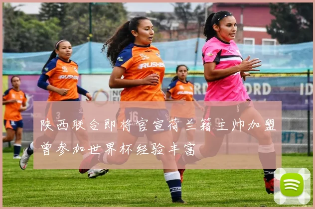 陕西联合即将官宣荷兰籍主帅加盟曾参加世界杯经验丰富